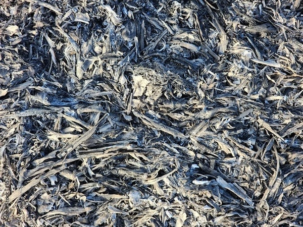 Fototapeta Close-Up of Gray and Black Ashes Texture Background