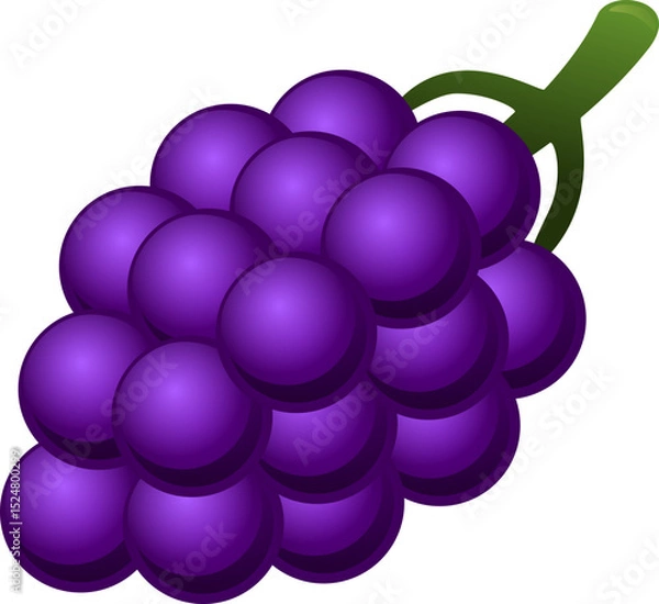 Obraz Grapes
