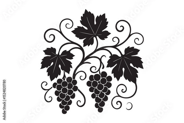 Obraz Elegant Grape vine silhouette with white background