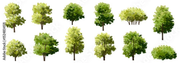 Fototapeta Vertor set of green tree,plants side view for landscape elevations,element for backdrop,eco environment concept design,watercolor greenery scene
