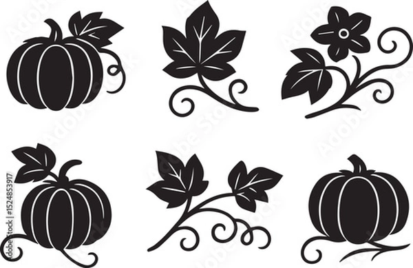 Fototapeta Pumpkin vine set isolated vector illustration