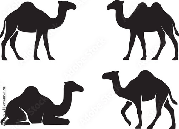 Fototapeta Camels set isolated vector illustration