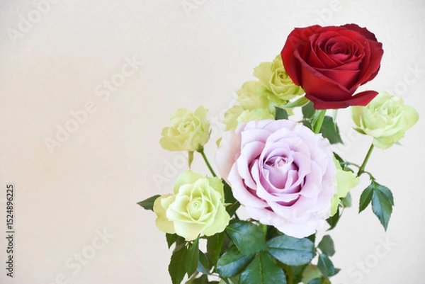 Fototapeta 三色のバラ