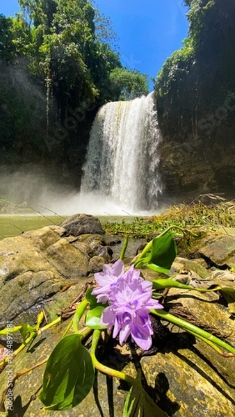 Fototapeta Water stream in Hikong Alo Falls and water hyacinth over the rocks. Lake Sebu, Philippines.