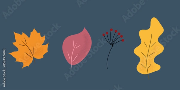 Fototapeta Autumn leaves set. Collection for web design, print. Vector illustration