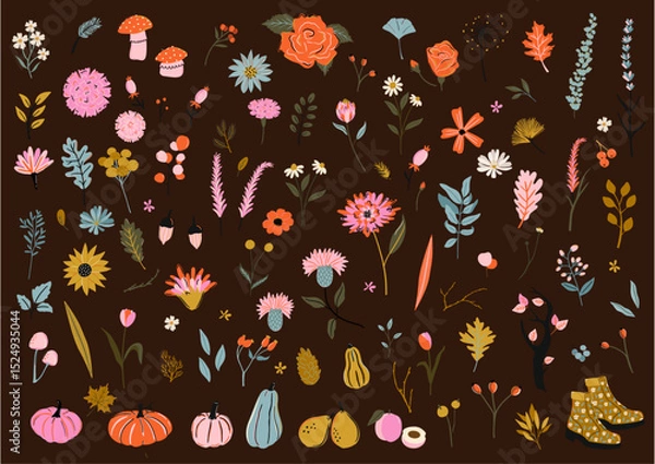 Fototapeta Set of isolated autumn fall themed botanical elements like flowers, leaves, stems, pumpkin, gourds, mushroom in vibrant colors. Hand drawn vector clipart for stickers, logo, social media, icons etc. 