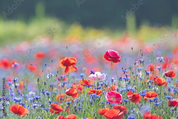 Obraz Generated image