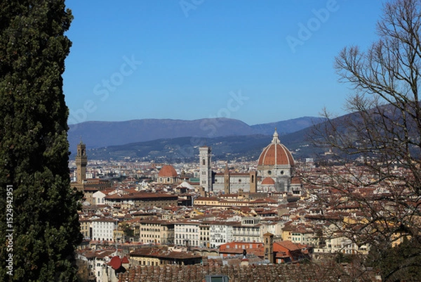 Fototapeta View of Florence City in Central Italy between two Trees