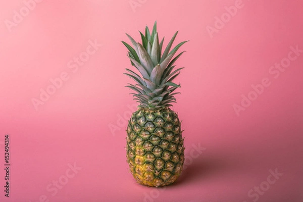 Obraz Pinaple on Pink
