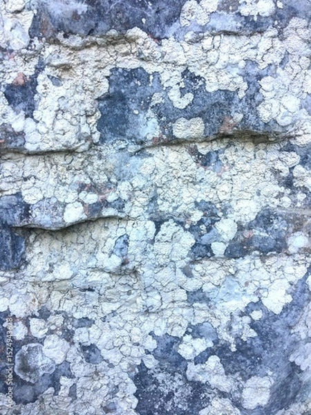 Fototapeta Lichen on weathered stone surface. Natural texture background.