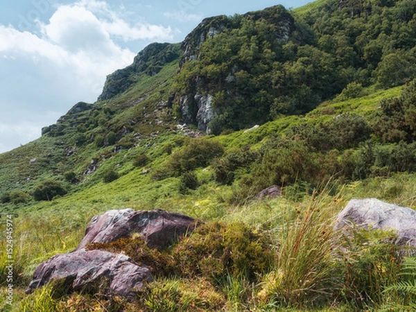 Fototapeta A sloping mountainside, likely part of Strickeen Mountain, displays a rugged face covered in green vegetation. Large rocks are scattered among the grass, fern and shrubbery.