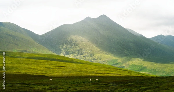 Fototapeta Vast expanse of verdant grassland stretches out before towering, rugged mountains. Nature's canvas.