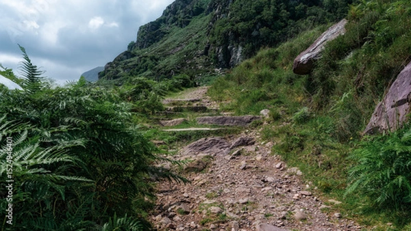 Fototapeta A rugged, rocky trail with stone steps climbs upward along the green, vegetated hillside of Strickeen. Ferns grow densely along the pathway as it winds into the Irish landscape.