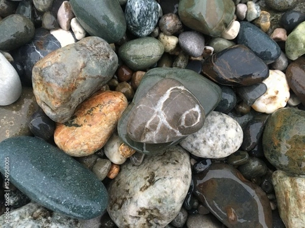 Fototapeta Colorful wet pebbles on the shore. Natural stone texture background.