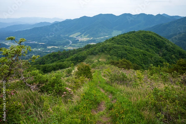 Fototapeta 日本の岡山県と鳥取県にまたがる三平山の美しい初夏の風景