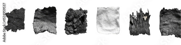 Obraz Grayscale segmented images of irregular shapes