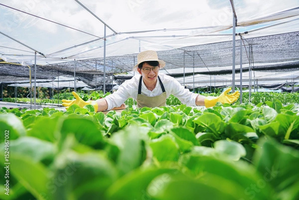 Obraz A man in a white shirt and a straw hat is bending over in a greenhouse