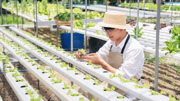 Obraz A man is tending to a row of plants in a greenhouse