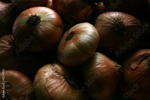 Fototapeta onion