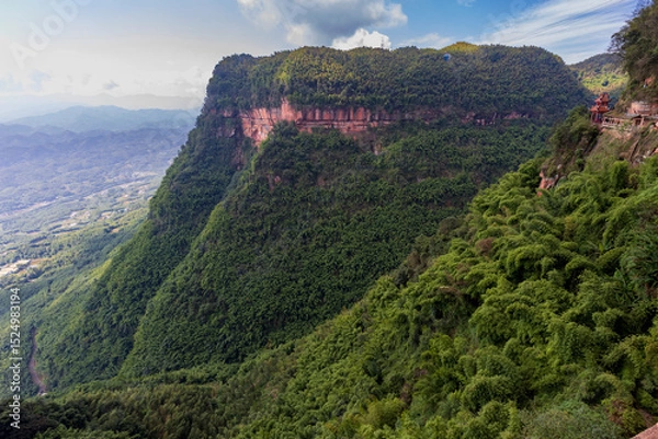 Fototapeta Mountains in the bamboo forest in the province of Hangzhou in China