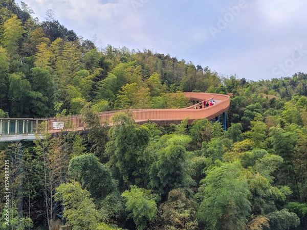 Fototapeta Hangzou, China. 11-02-2024.  Walking bridge in the bamboo forest in the province of Hangzou in China