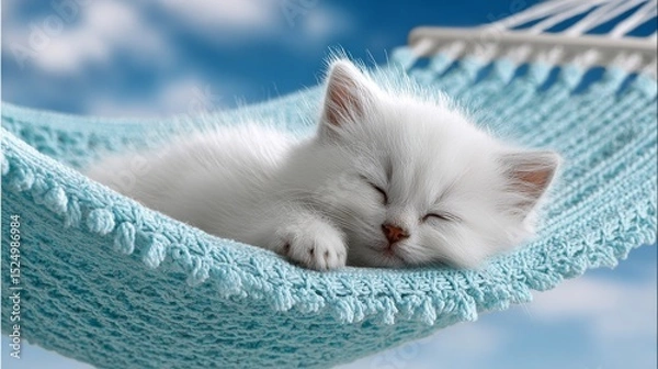 Fototapeta A delicate white kitten on a pastel blue hammock, evoking warmth and sweetness