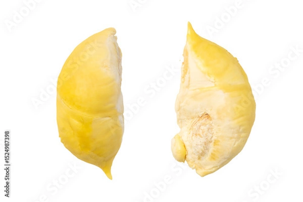 Obraz The Photo of a Thai fruit, Durian, on a white background, taken with a 45Mp high resolution camera.