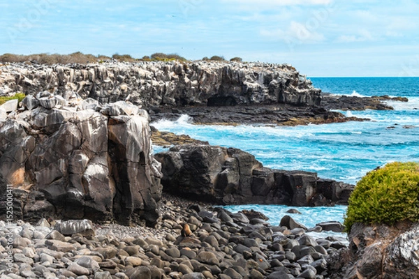 Fototapeta Galapagos Cliff Side with Breeding Sea Birds on Suarez Point, Espanola Island