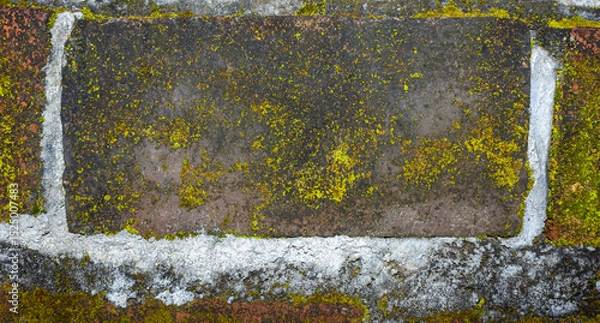 Obraz Realistic Weathered Clay Red Brick Wall Texture with Moss and Fungi. Ideal for Creative Project or Design.