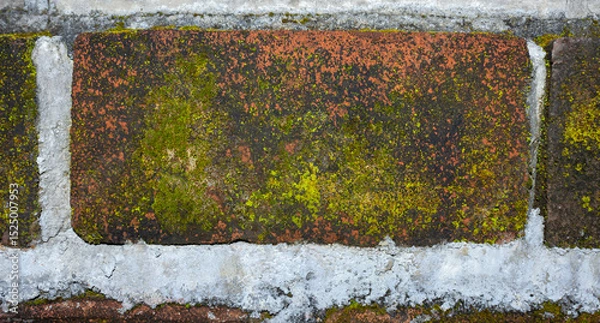 Obraz Realistic Weathered Clay Red Brick Wall Texture with Moss and Fungi. Ideal for Creative Project or Design.