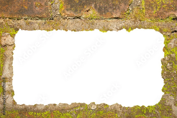 Obraz Realistic Weathered Clay Red Brick Wall Texture with Moss and Fungi. Ideal for Creative Project or Design.