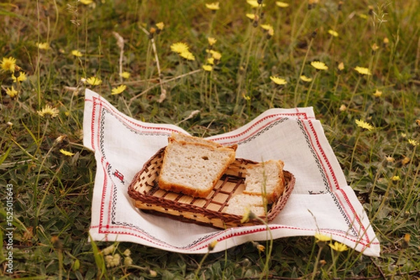 Fototapeta freshly baked bread in a basket on a napkin on the grass, taken on a summer day