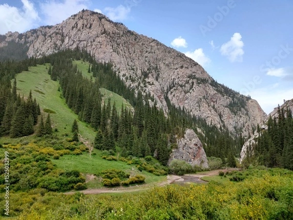 Fototapeta Komirshi Gorge in Kazakhstan – Breathtaking Summer Landscape with Lush Greenery and Mountain Serenity.