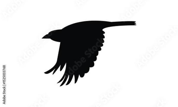 Fototapeta Flying Altamira oriole bird Silhouette Design  And Vector Illustration. 