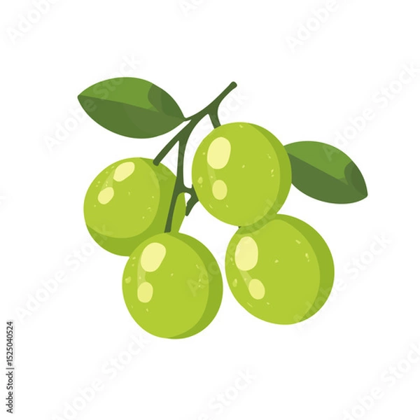 Obraz My Simple flat 2D longans group icon on a transparent background, high-resolution vector illustration, minimalist clipart, suitable for print and digital design, clipart icon set	