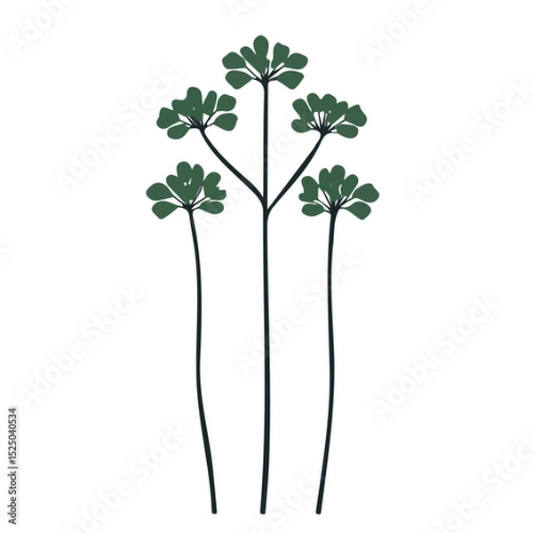 Obraz My Simple flat 2D parsley bunch icon on a transparent background, high-resolution vector illustration, minimalist clipart, suitable for print and digital design, clipart icon set	