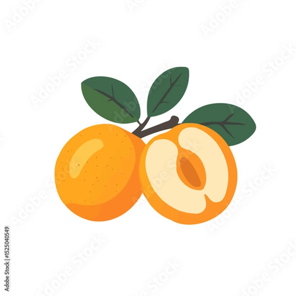 Obraz My Simple flat 2D whole loquat icon on a transparent background, high-resolution vector illustration, minimalist clipart, suitable for print and digital design, clipart icon set