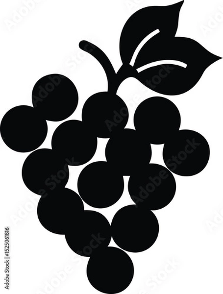 Fototapeta Simple Black and White Illustration of a Bunch of Grapes with Leaves