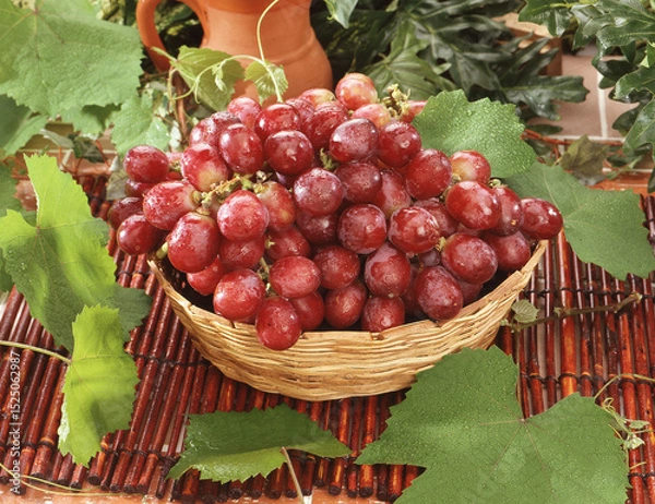 Obraz Fresh red grapes fruits bunch on rustic basket on tree leaves background.