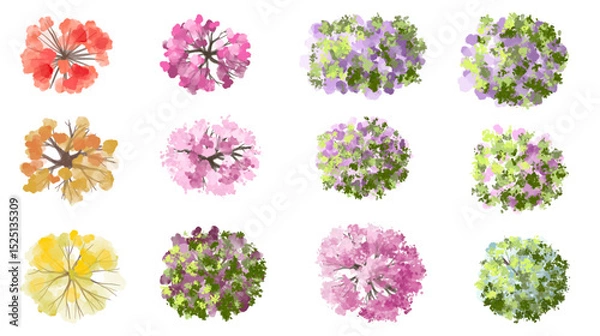 Fototapeta Vertor set of spring blossom tree,bloomimg plants top view for landscape plan,schematic layout,eco environment concept design,watercolor sakura illustration