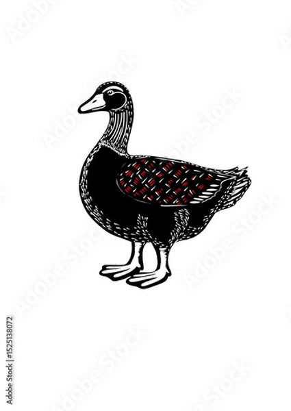 Fototapeta duck on a white background