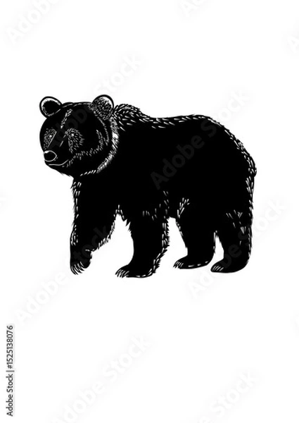 Fototapeta bear on a white background