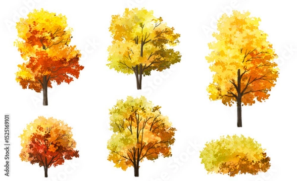 Fototapeta Vertor set of autumn tree,plants side view for landscape elevation and section,eco environment concept design,watercolor ginkgo tree illustration,colorfull