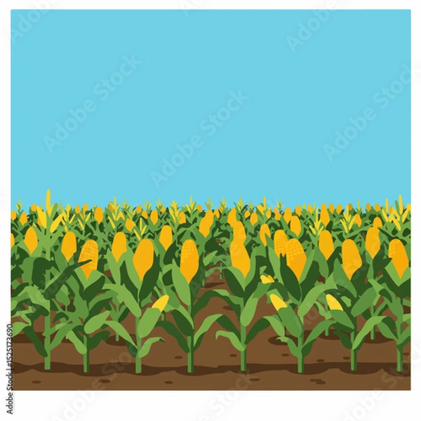Fototapeta Lush corn field under bright summer sky. Ripe corn cobs on stalks in garden.  Rows of maize plants on farmland ready for harvest.