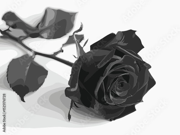 Obraz Black rose, vector, white background