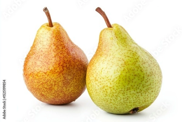 Obraz A Serene watercolor pear soft yellow and green hues