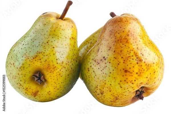 Obraz A Serene watercolor pear soft yellow and green hues