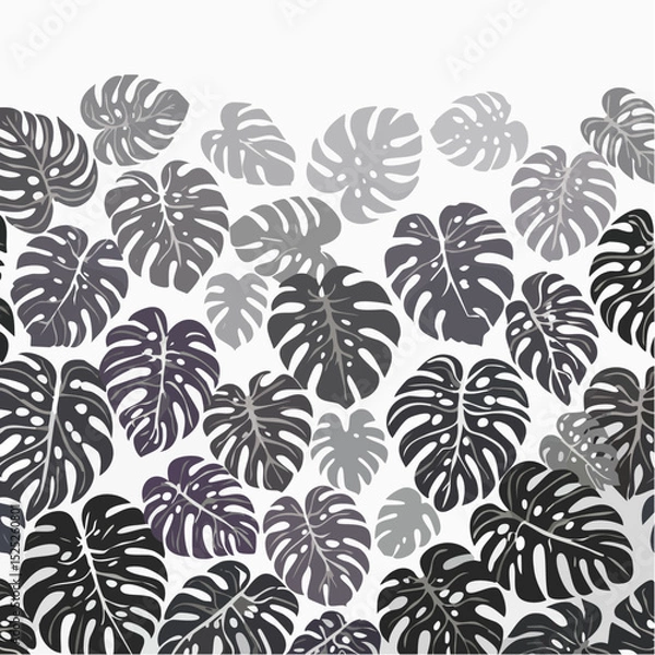 Fototapeta Vector illustration of a seamless pattern featuring various shapes and sizes of the iconic monstera leaf arranged in a repeating design.