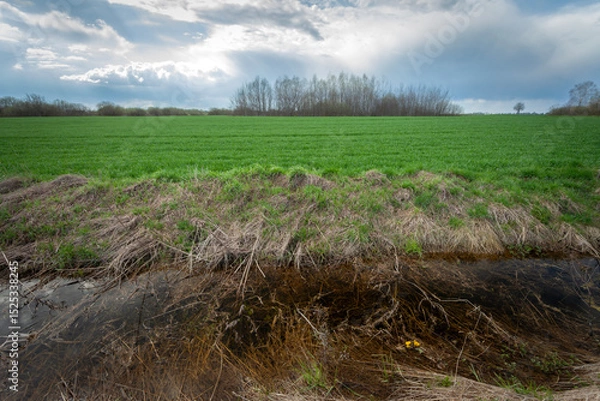 Fototapeta A water ditch in front of a green agricultural field and a cloudy sky