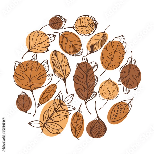 Obraz Hand-drawn autumn leaves in a circle.  Vector sketch illustration